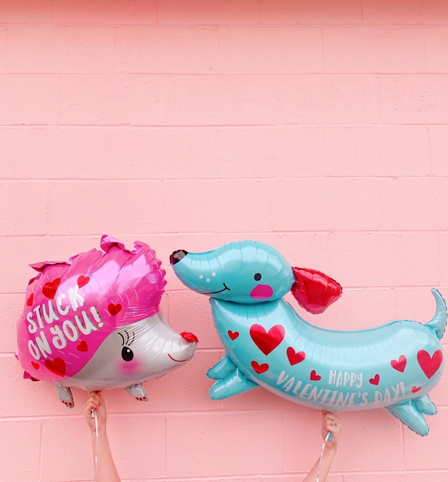 Stuck on You Hedgehog