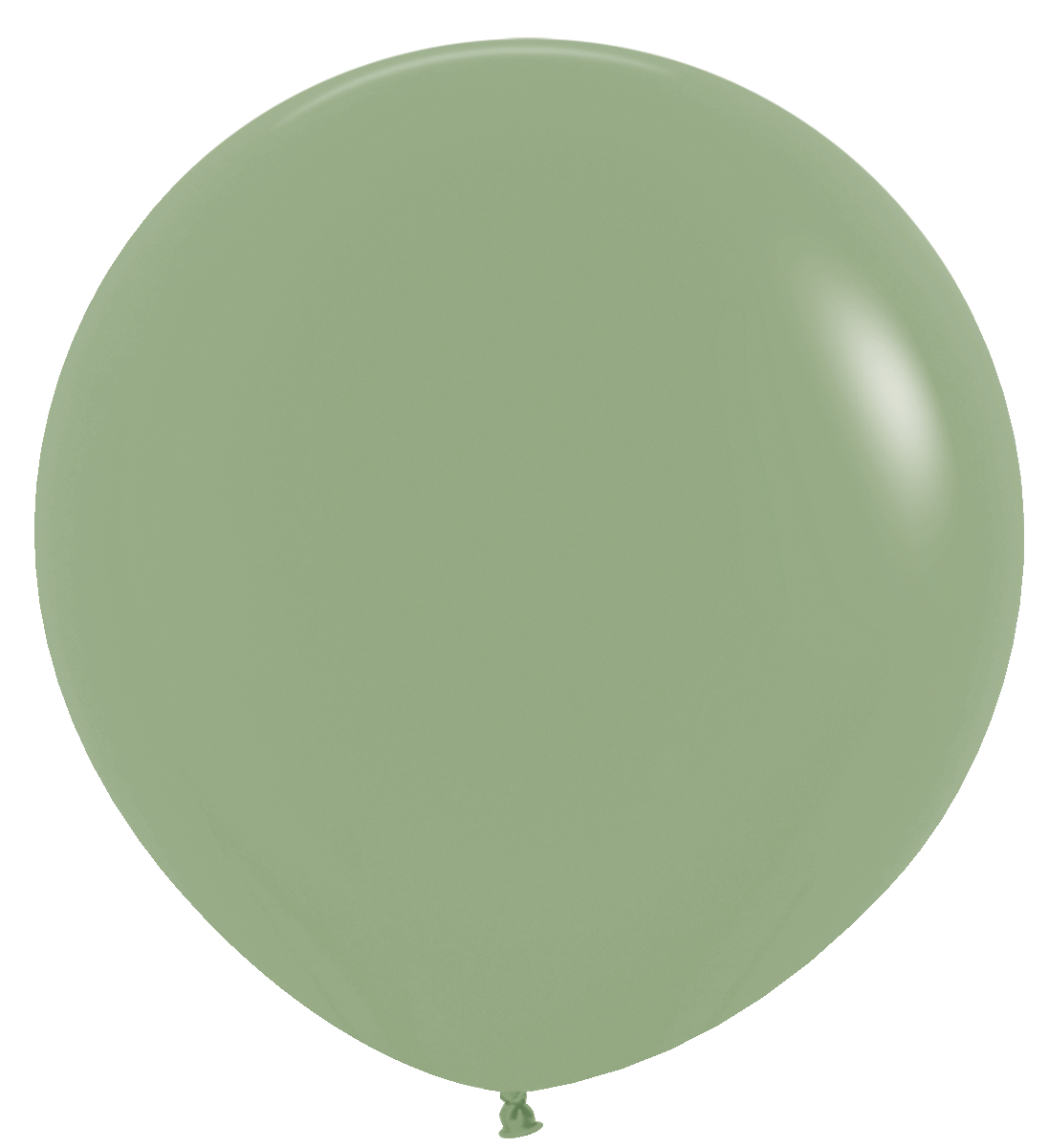36" Jumbo Latex - Eucalyptus