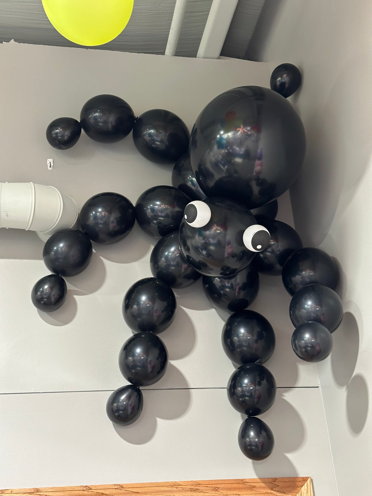 Balloon Spider