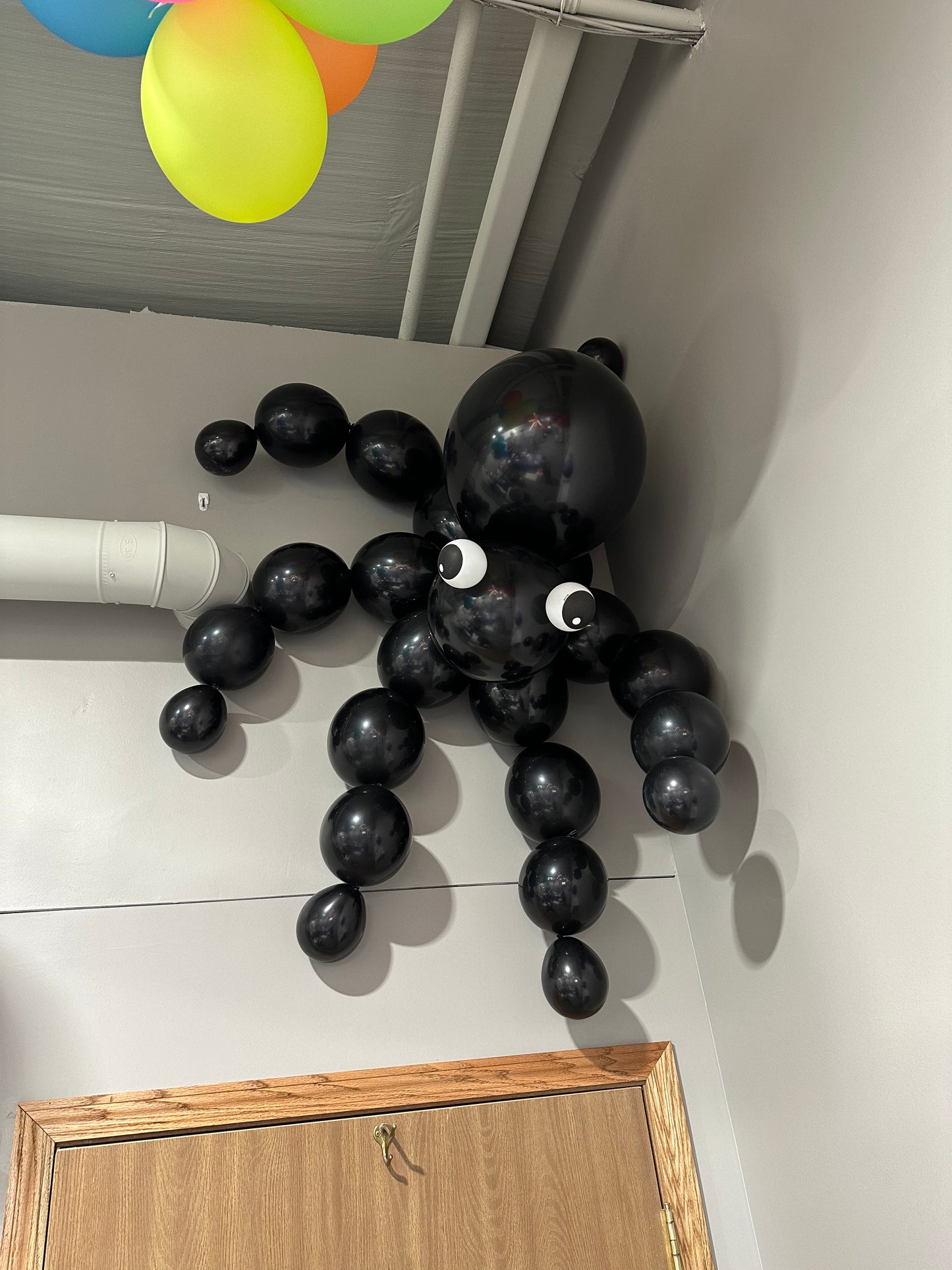 Balloon Spider