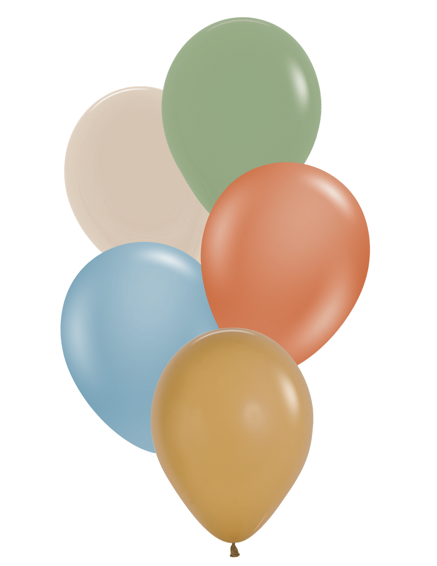 Safari Bunch