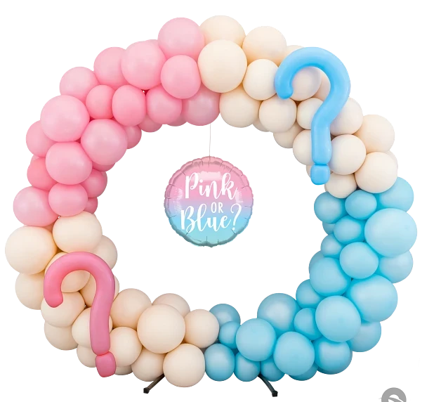 Gender Reveal Hoop Display