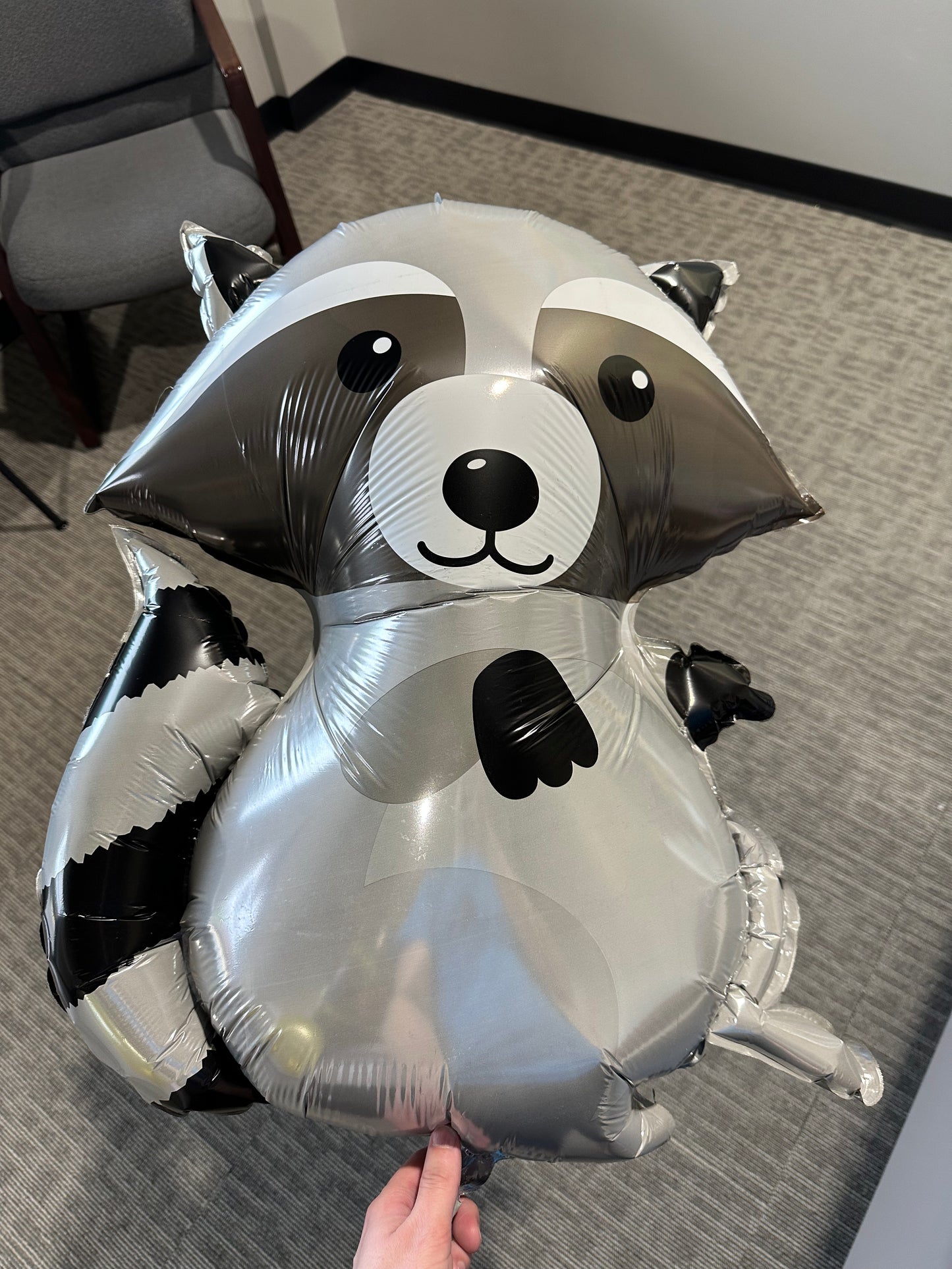 Woodland Raccoon - SuperShape