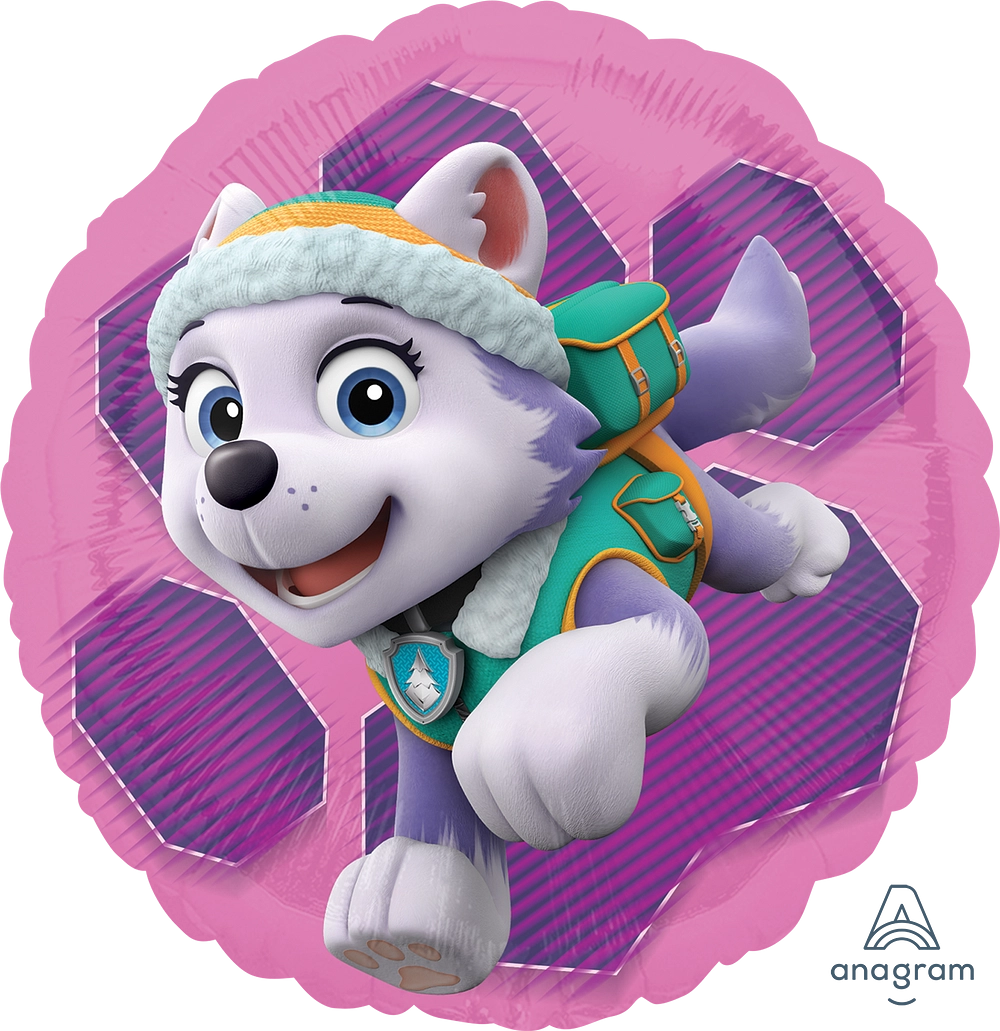 Paw Patrol - Skye & Everest
