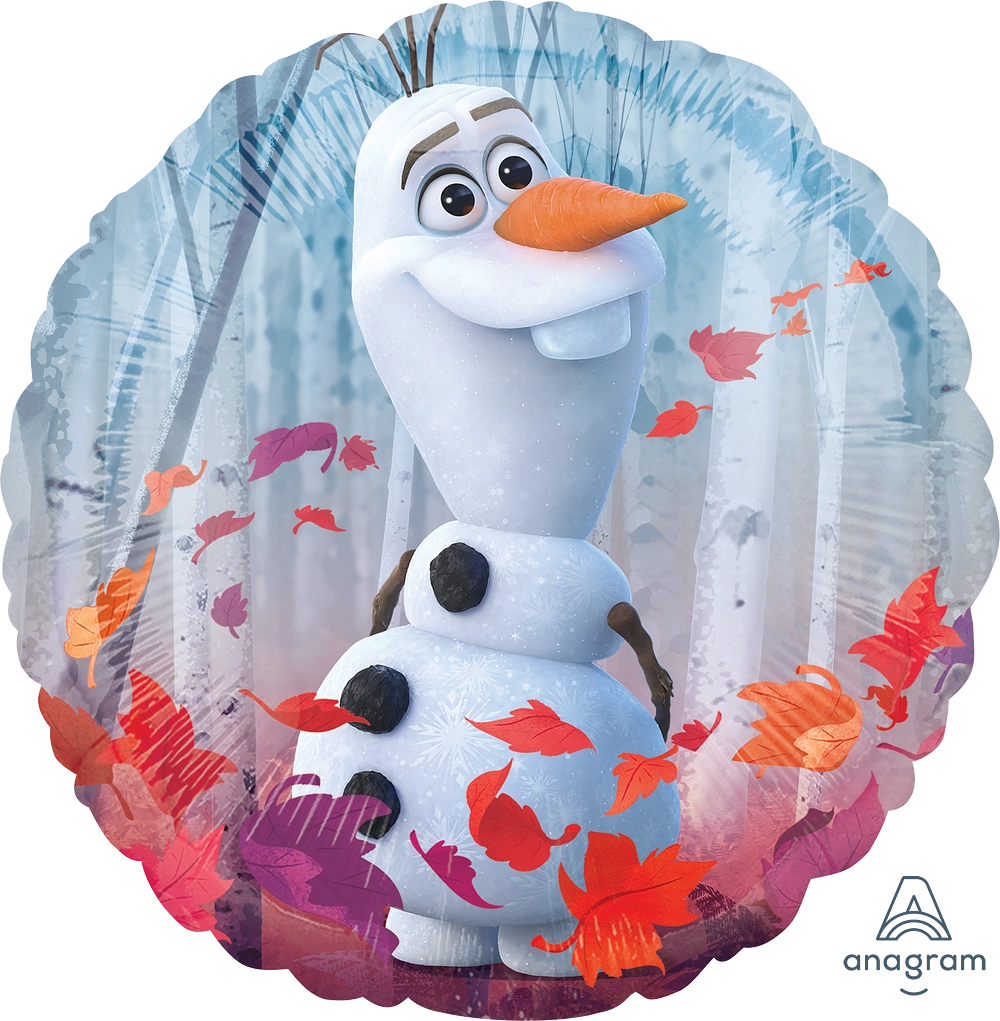 Frozen 2 Bouquet