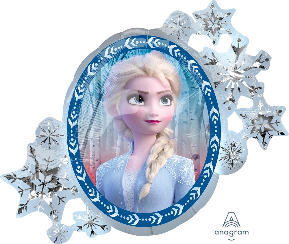 Frozen 2 Bouquet