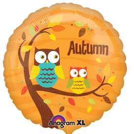 Autumn Owls