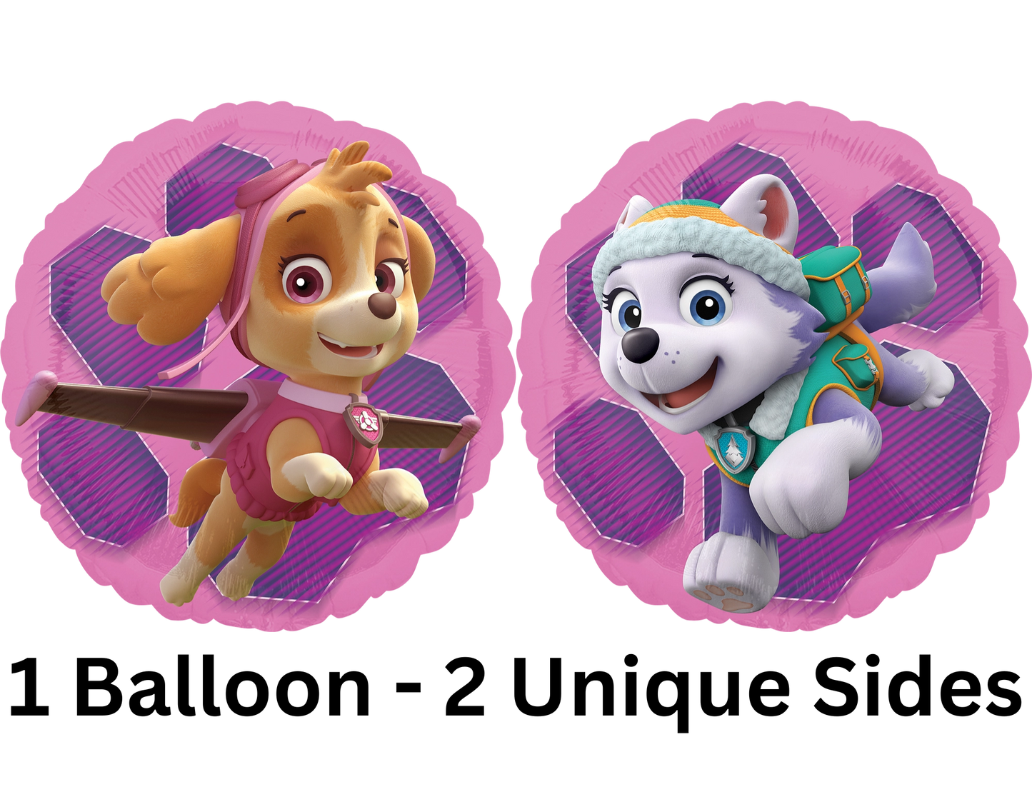 Paw Patrol - Skye & Everest