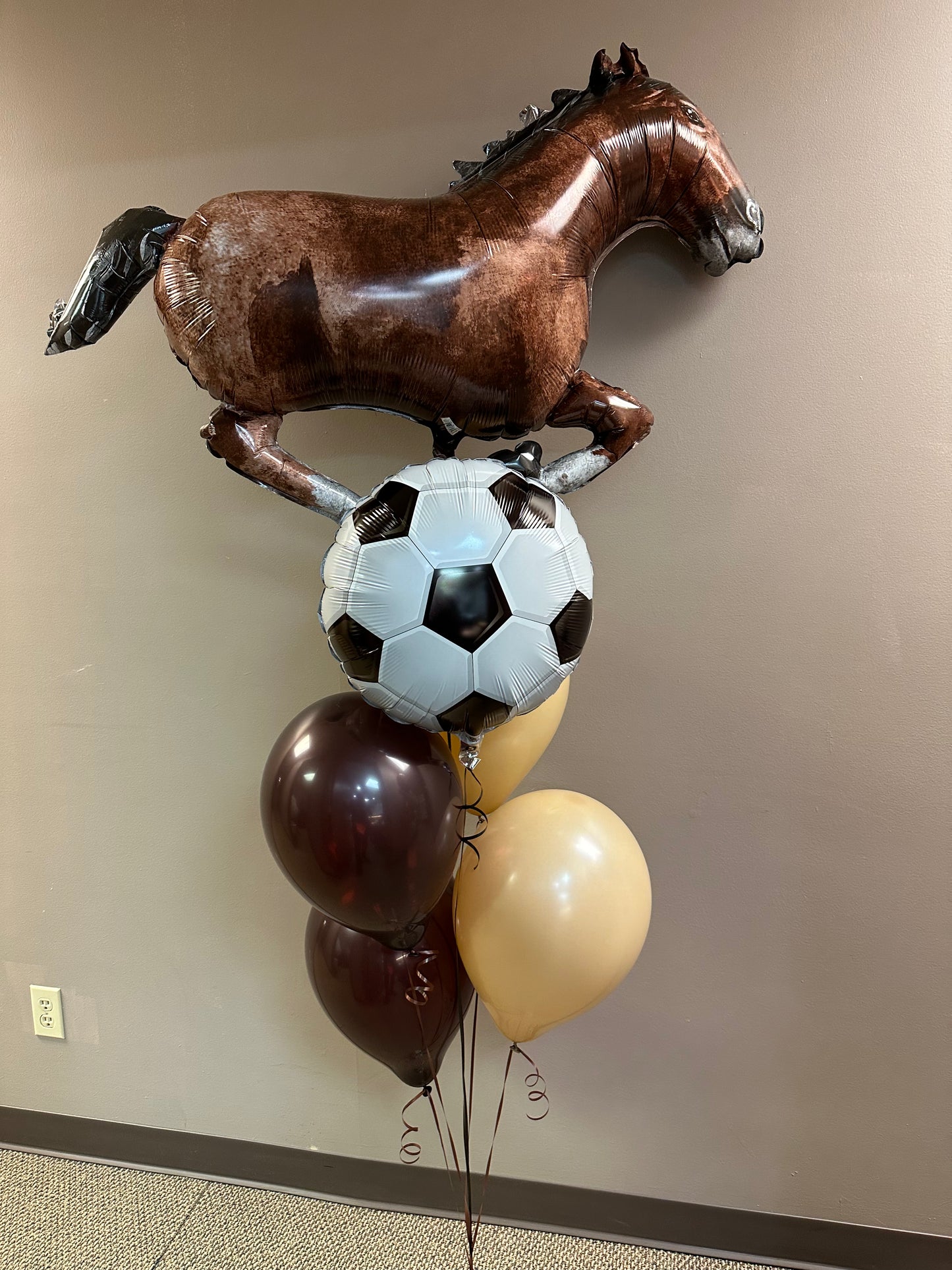 11" Latex - Chocolate (Very Dark) Brown