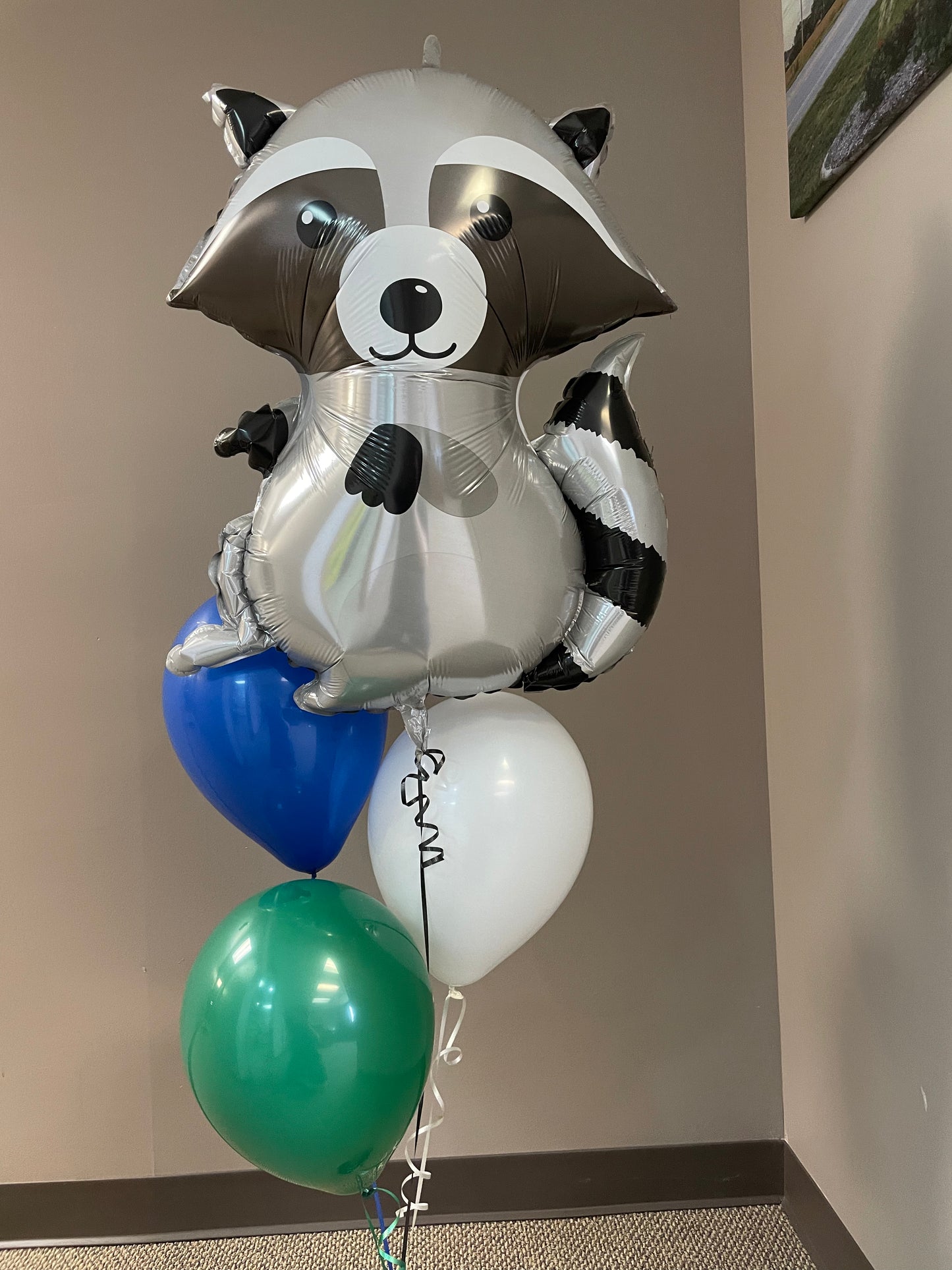 Woodland Raccoon - SuperShape