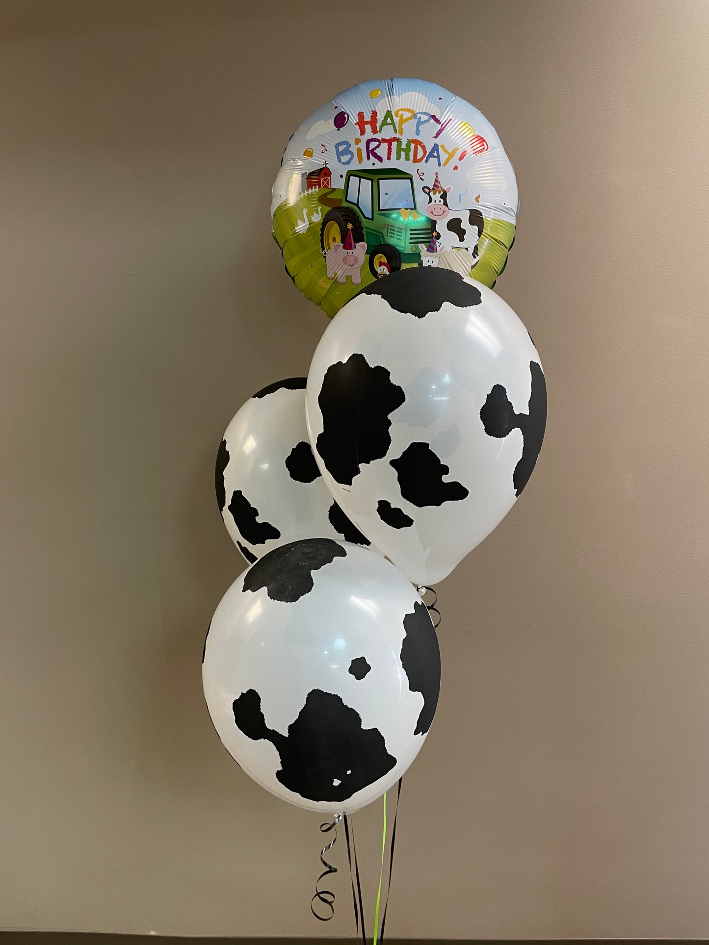 11" Latex - Cow Print
