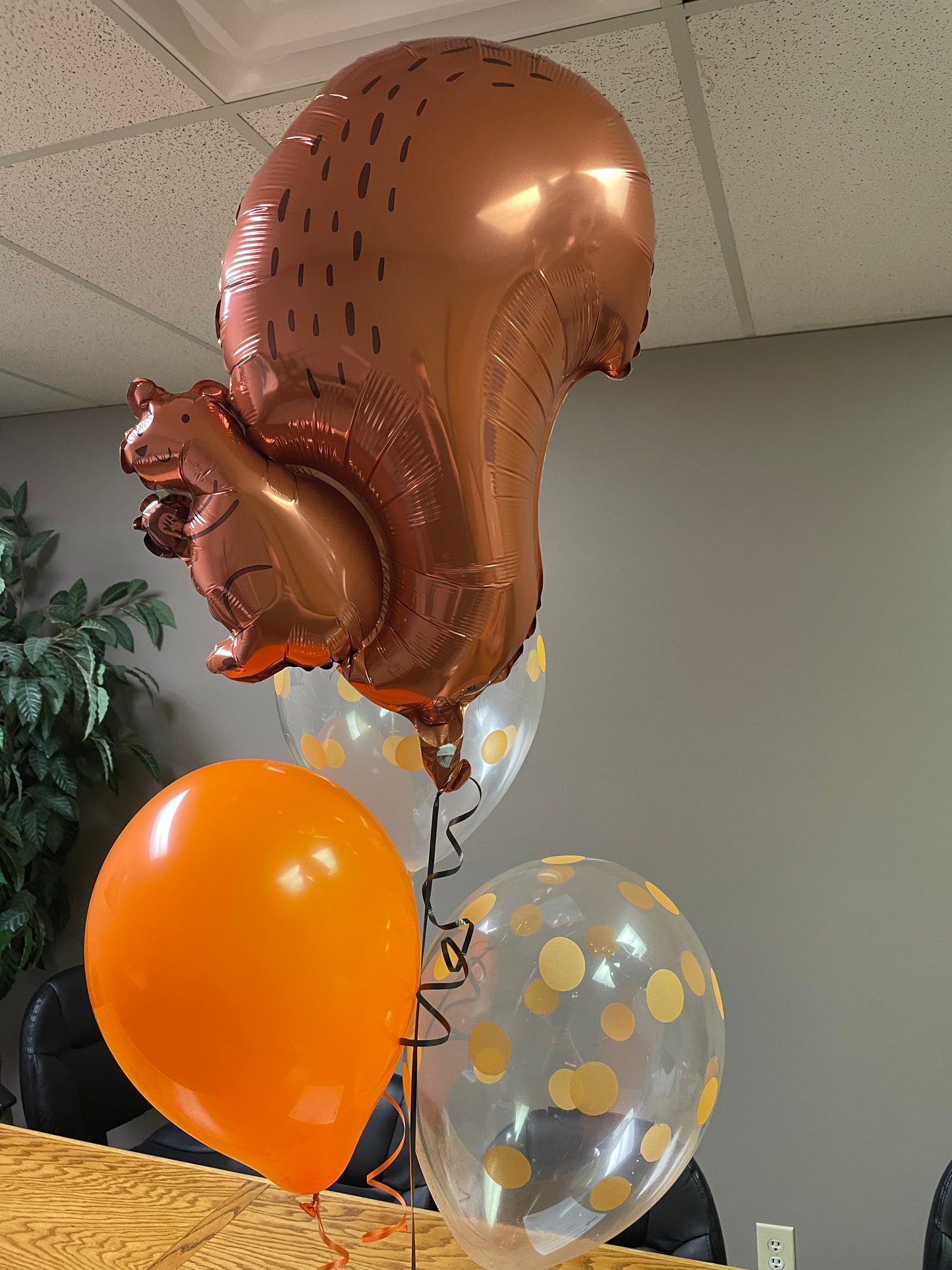 Squirrel - Jr Shape Foil Balloon