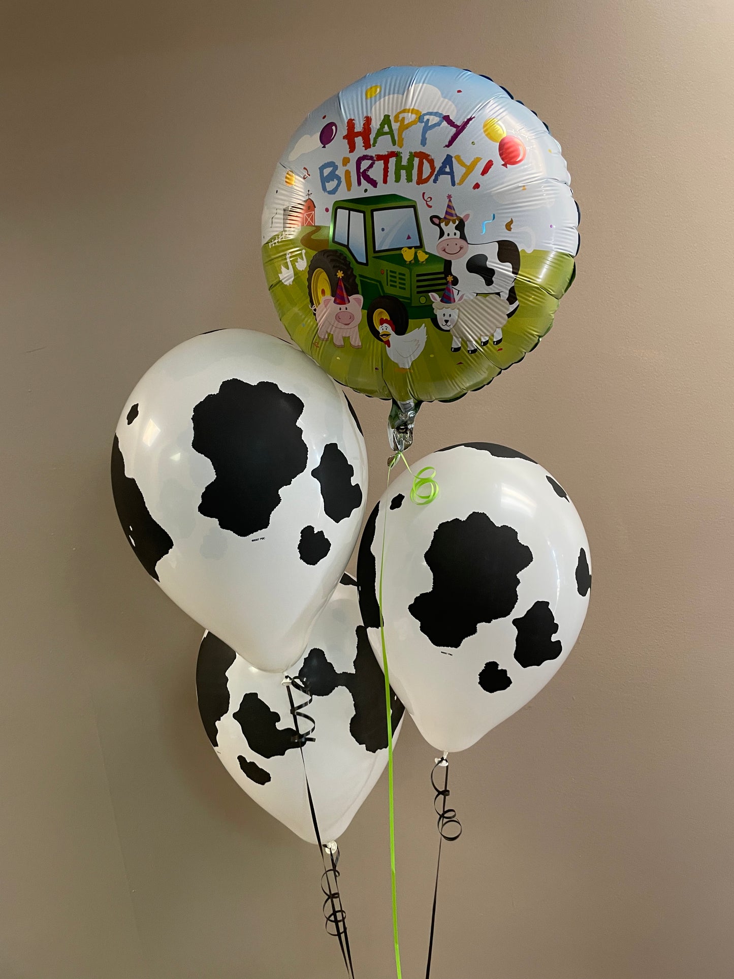 11" Latex - Cow Print