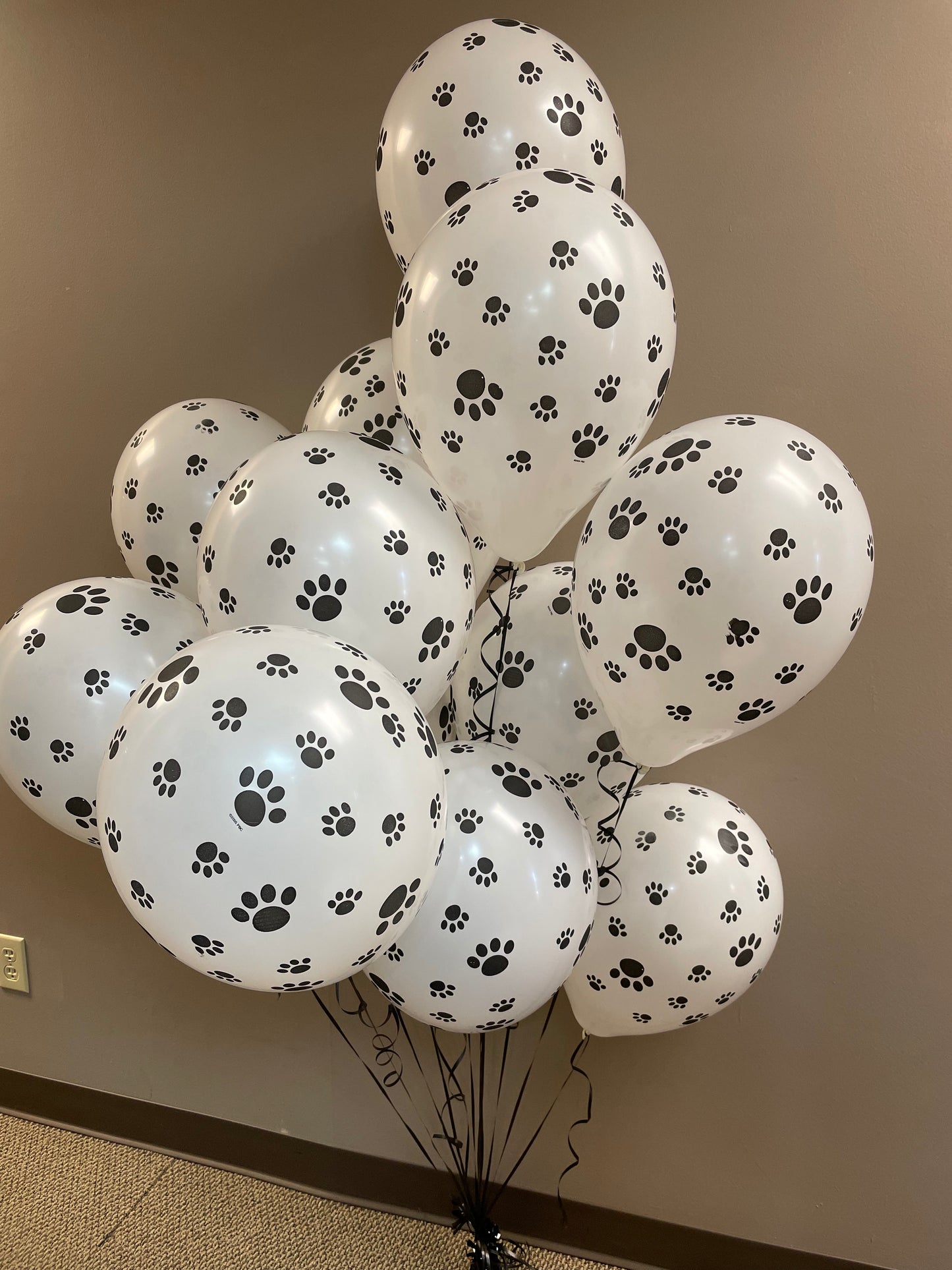 11" Latex - Paw Prints