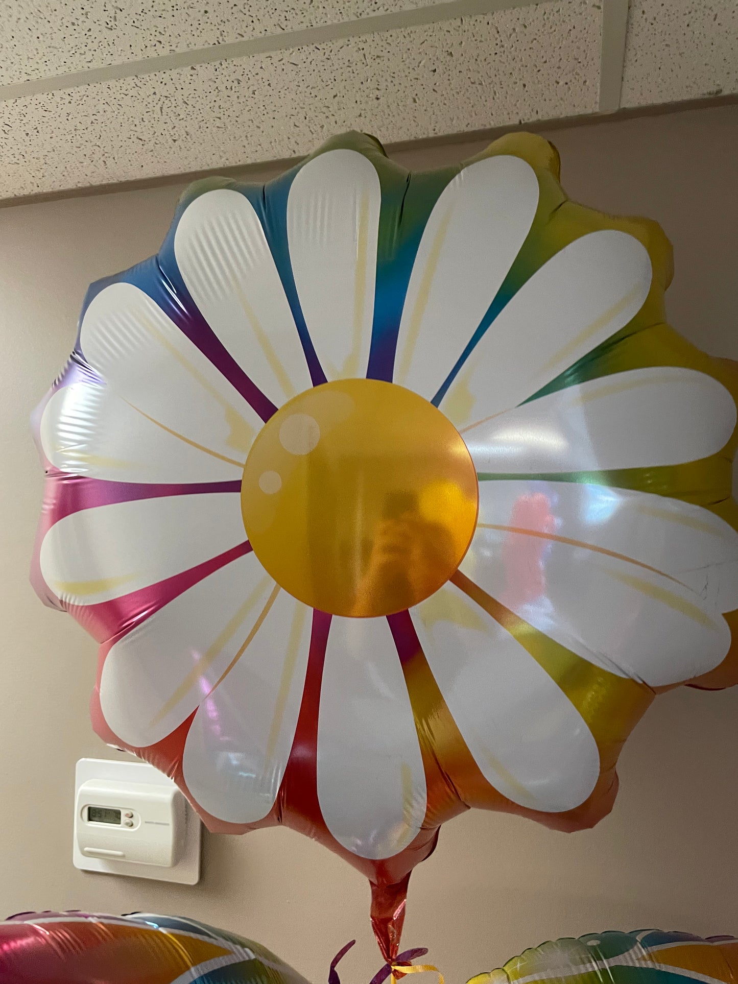 Rainbow Daisy - SuperShape