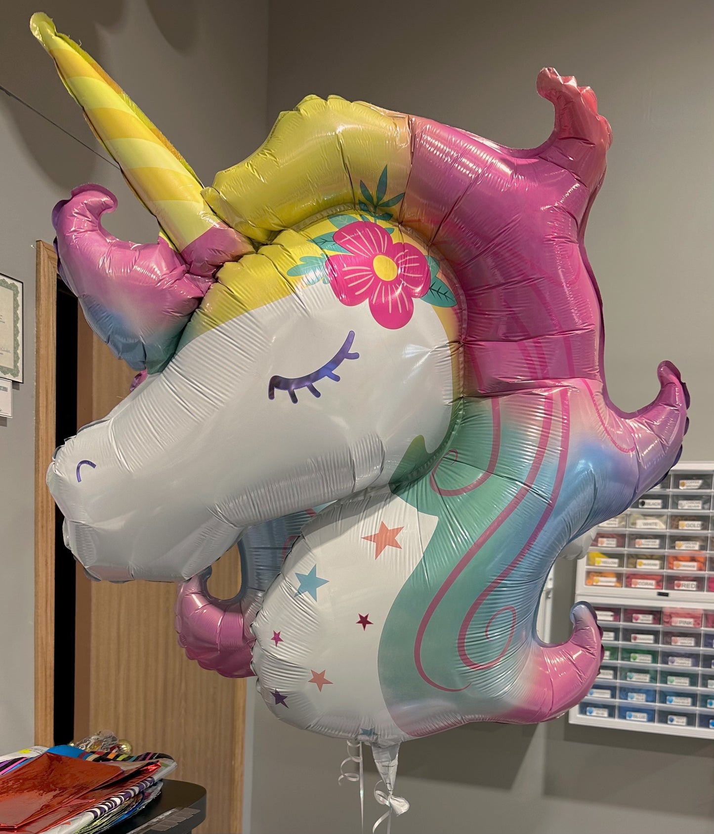 Enchanted Unicorn