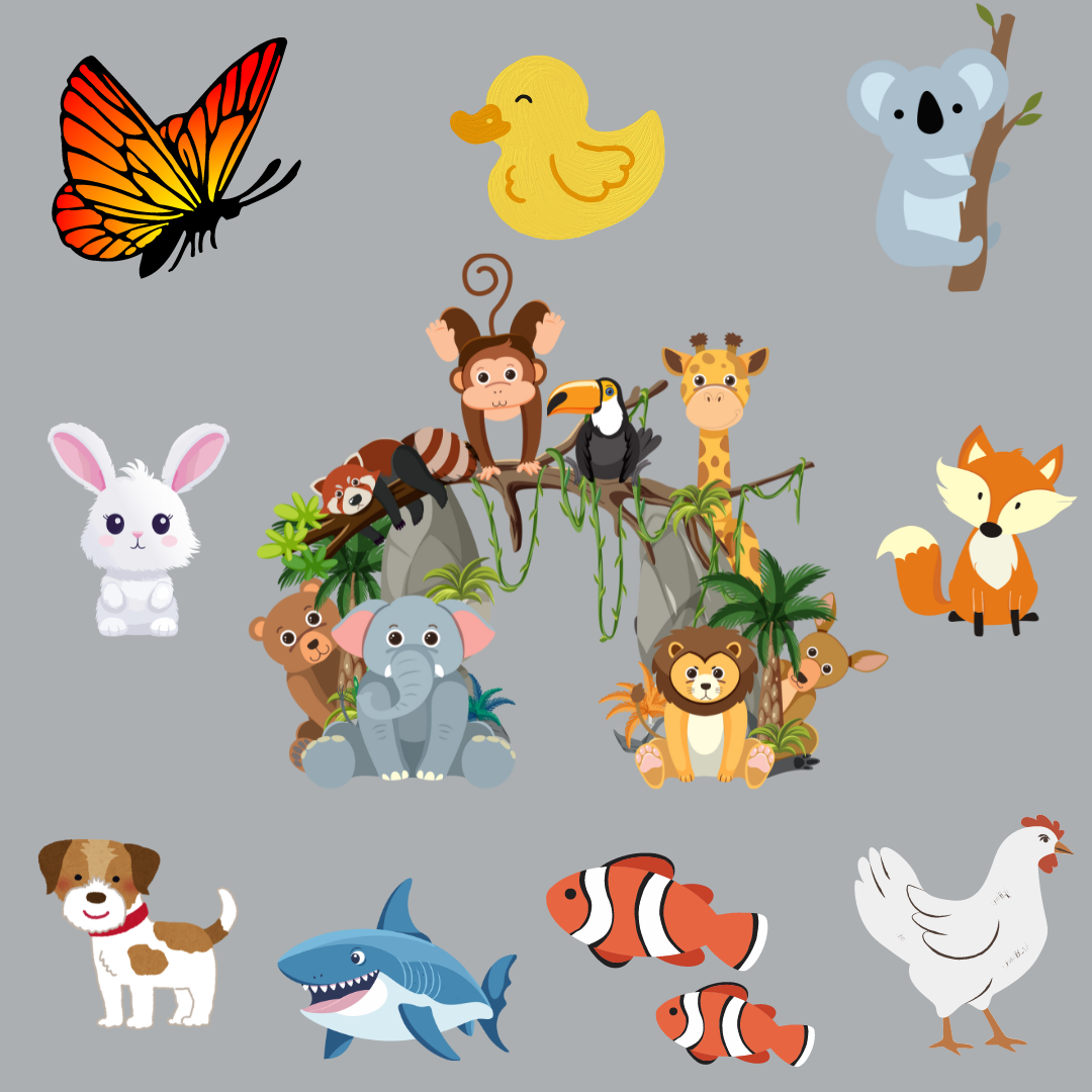 All Animals