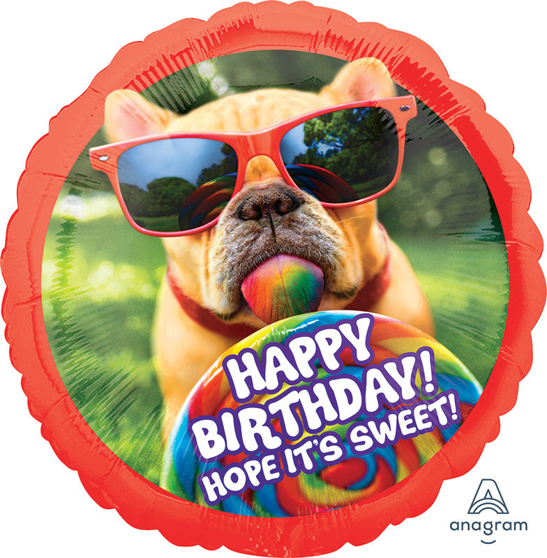 Happy Birthday Boxer Bulldog - SuperShape