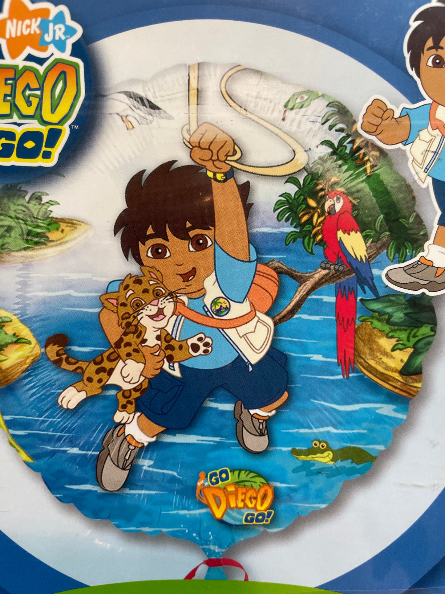 Go Diego Go!